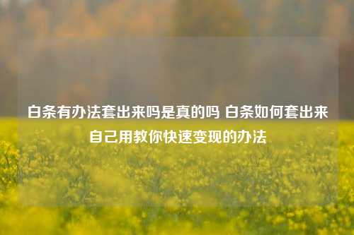 白条有办法套出来吗是真的吗 白条如何套出来自己用教你快速变现的办法