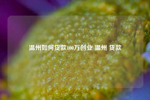 温州如何贷款100万创业 温州 贷款