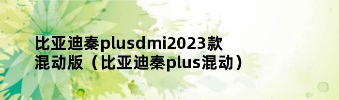 比亚迪秦plusdmi2023款混动版（比亚迪秦plus混动）